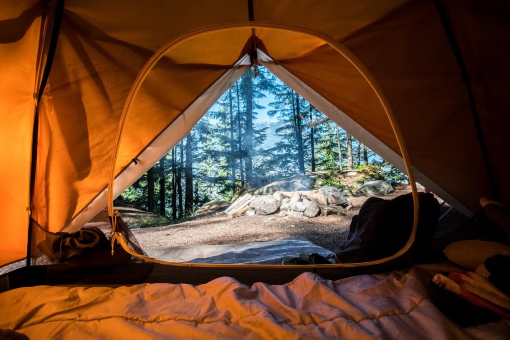 View of campsite from inside tent