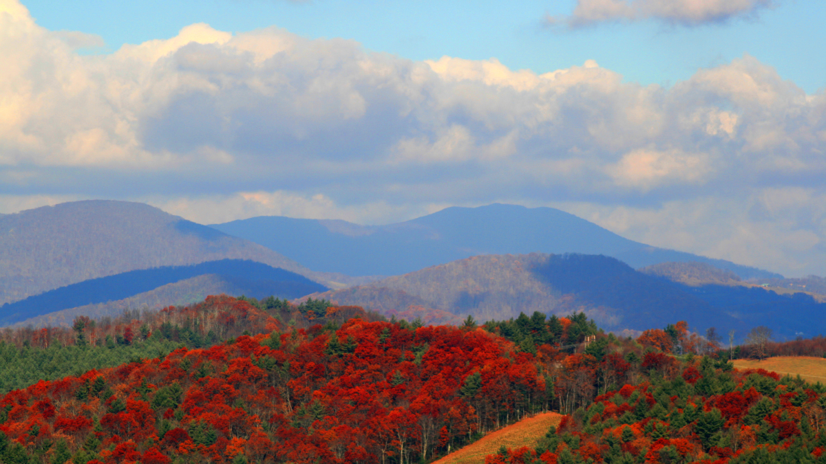 North Carolina