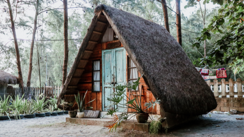 Forest glamping