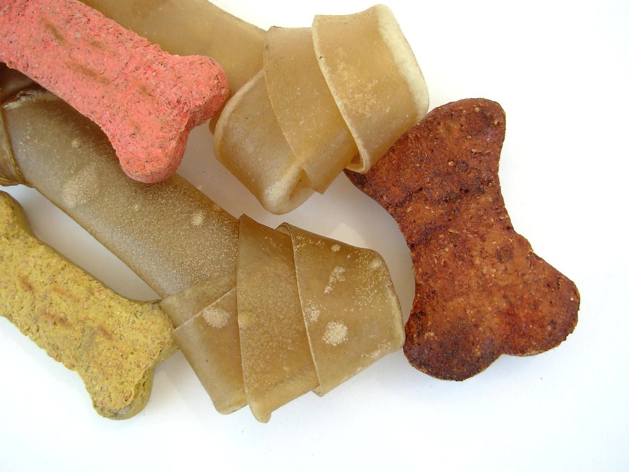 a selection of dog treats